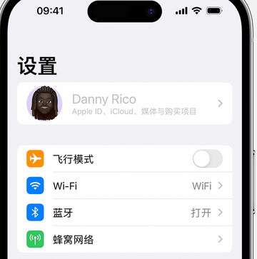 海北appleID维修服务iPhone设置中Apple ID显示为灰色无法使用 