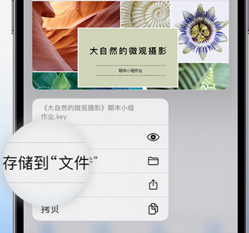 海北apple维修中心分享iPhone文件应用中存储和找到下载文件