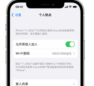 海北apple服务站点分享iPhone上个人热点丢失了怎么办