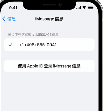 海北apple维修iPhone上无法正常发送iMessage信息 