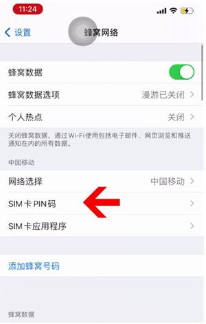 海北苹果14维修网分享如何给iPhone14的SIM卡设置密码 