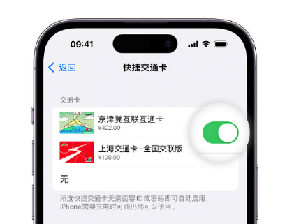 海北apple维修点分享iPhone上更换Apple Pay快捷交通卡手绘卡面 