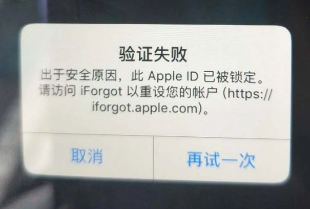 海北iPhone维修分享iPhone上正常登录或使用AppleID怎么办 