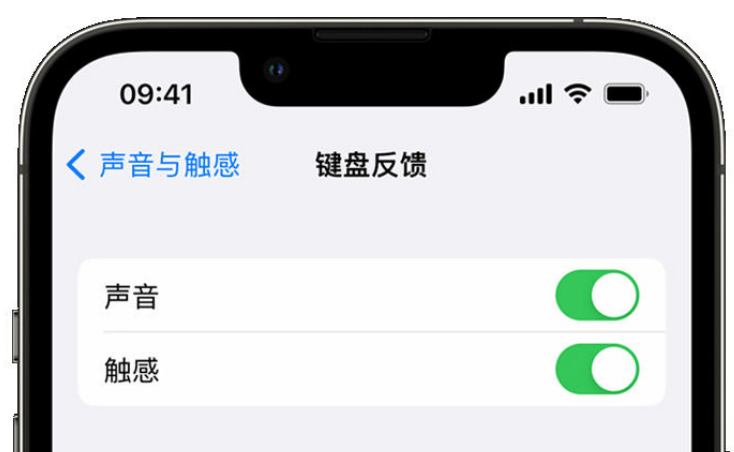 海北苹果手机维修分享iPhone 14触感键盘使用方法 