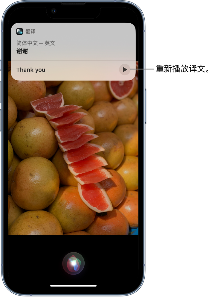 海北苹果14维修分享 iPhone 14 机型中使用 Siri：了解 Siri 能帮你做什么 