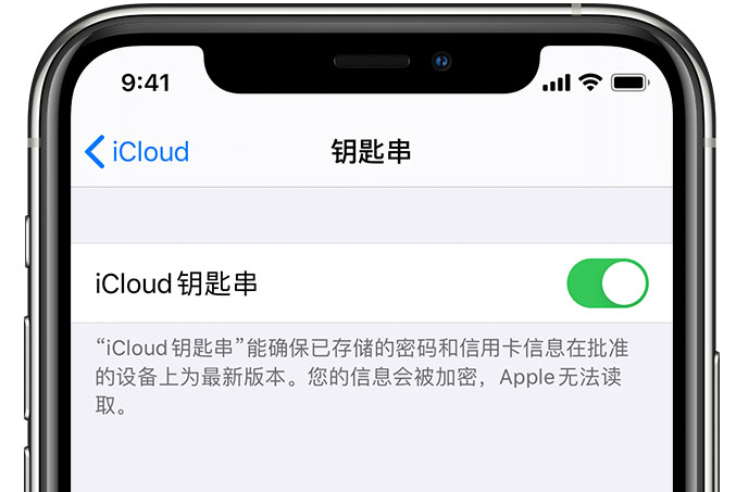 海北苹果手机维修分享在 iPhone 上开启 iCloud 钥匙串之后会储存哪些信息 