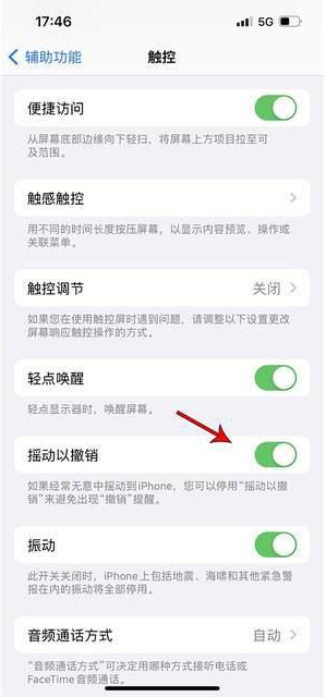 海北苹果手机维修分享iPhone手机如何设置摇一摇删除文字 
